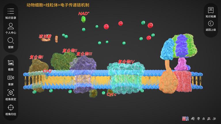细胞生物学3d资源库系统app下载,学习app,生物app,细胞生物学3d资源库系统